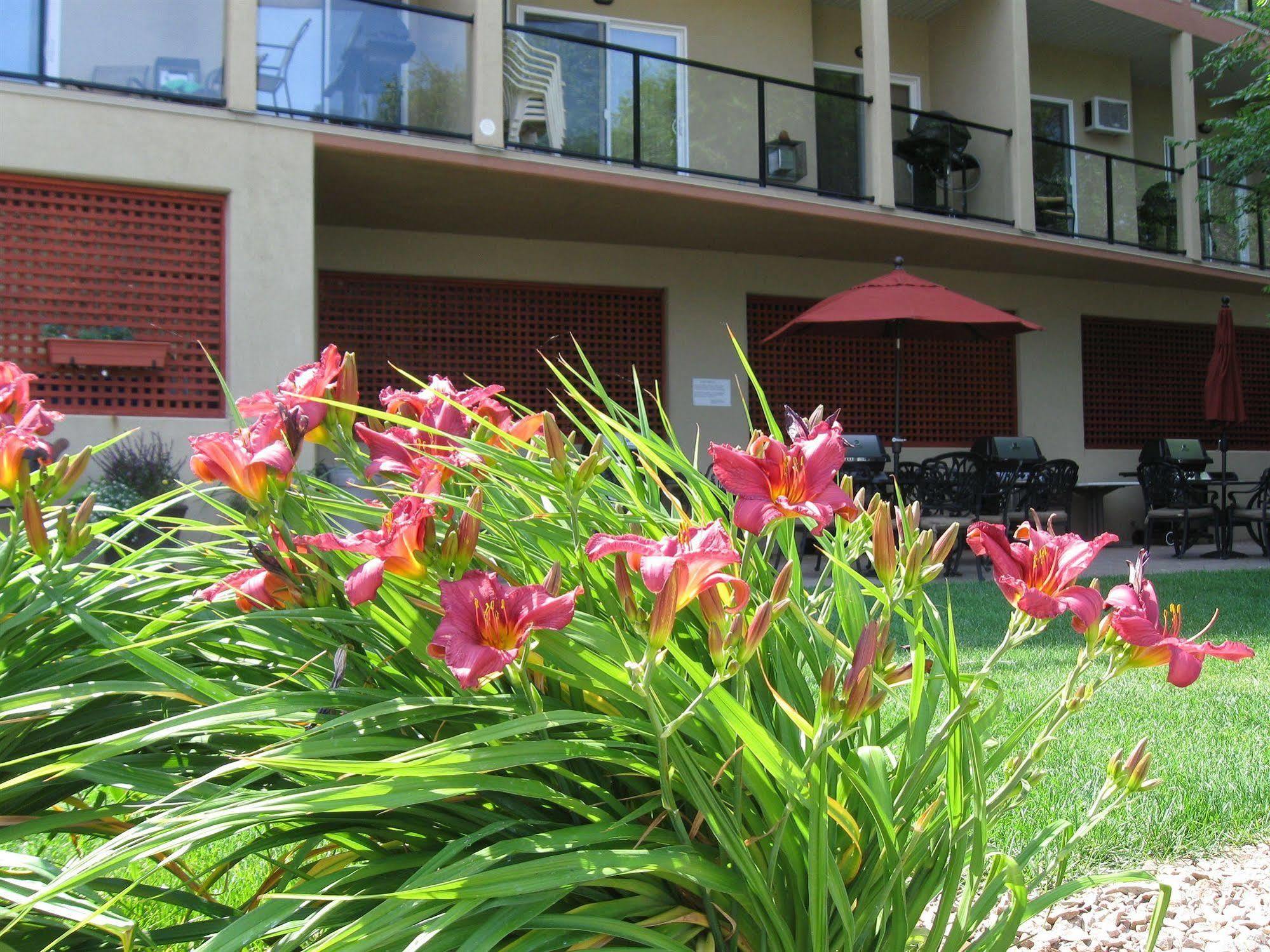 Desert Surfside Waterfront Accommodations Osoyoos Exteriör bild
